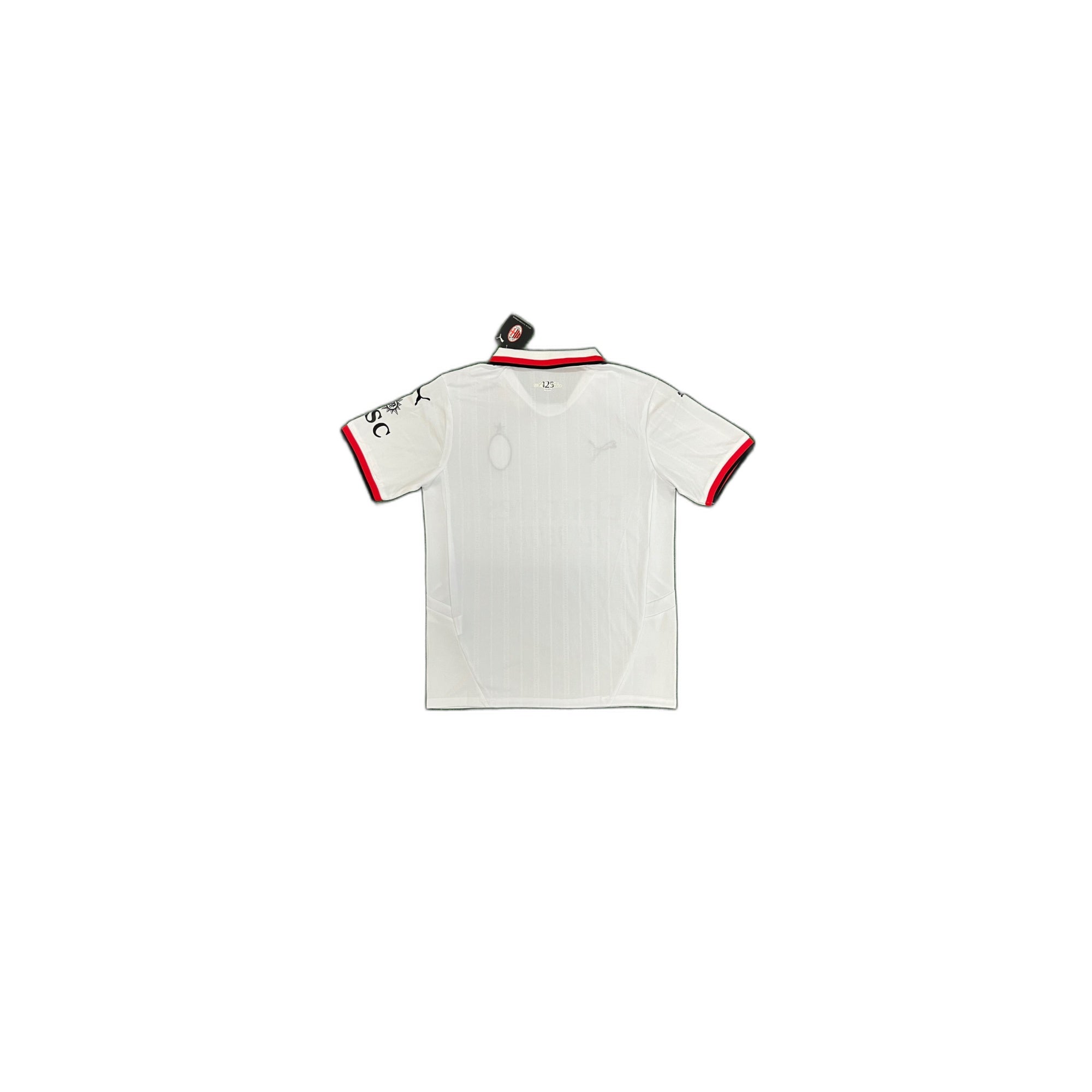 AC Milan 24/25 away