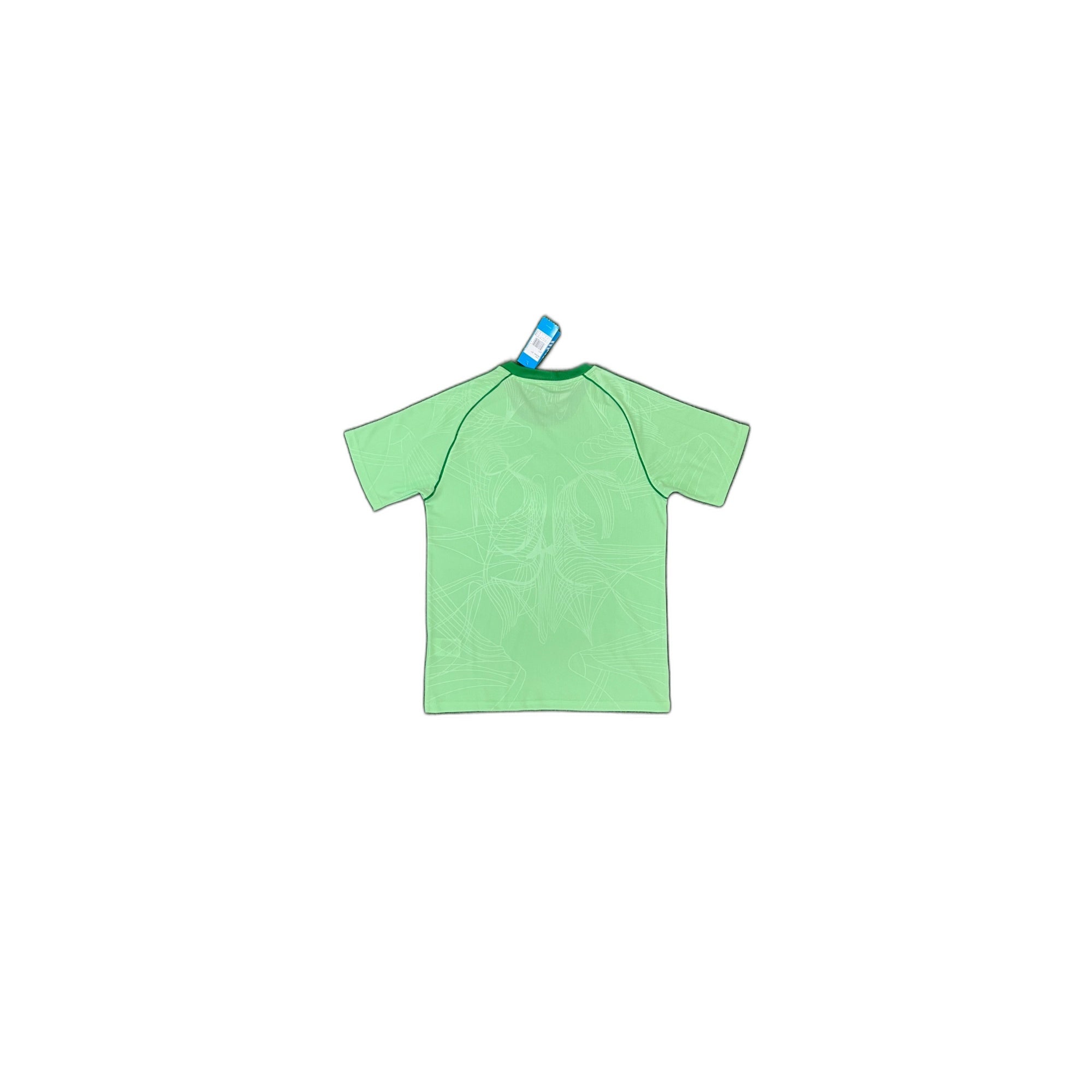 Celtic – Mint Green Football Shirt (concept)