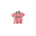 Stoke city home shirt 2025/26