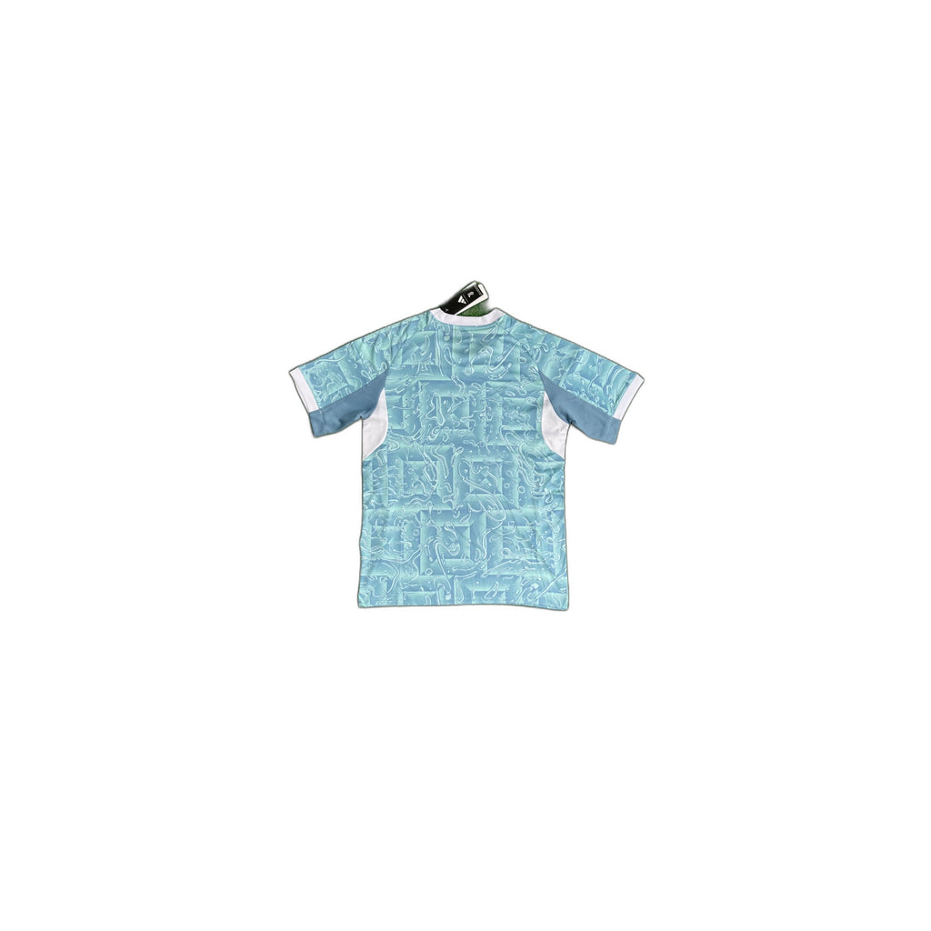 Juventus 25/26 away kit
