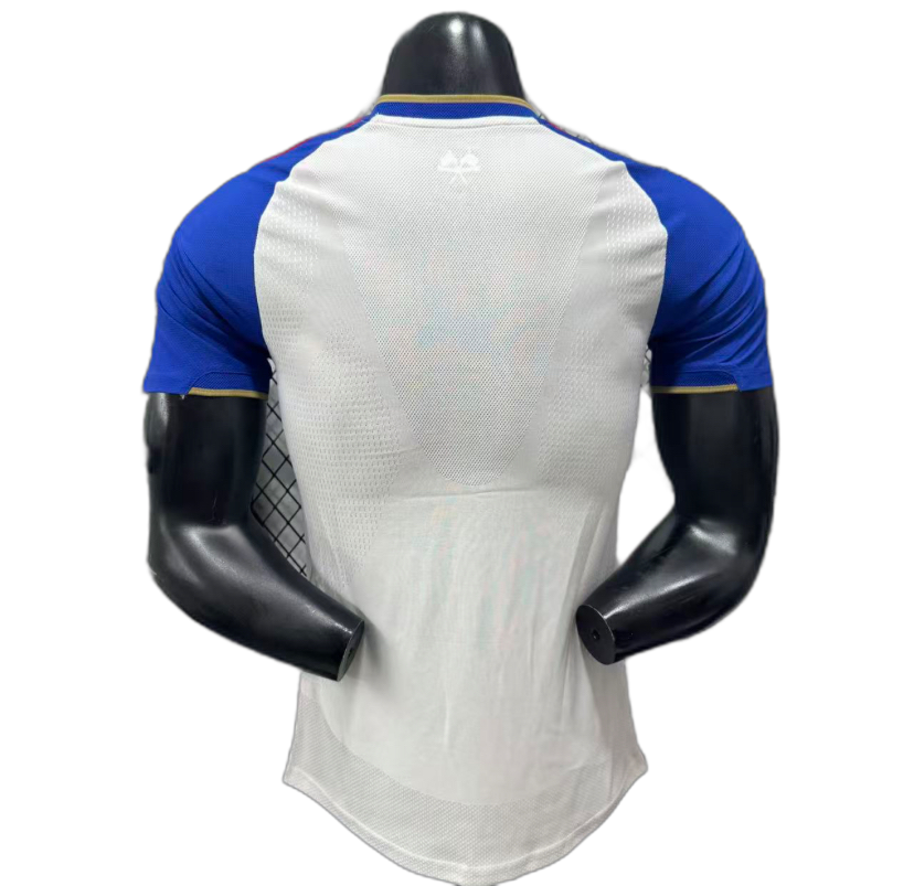olympic Lyon 2026/27  home